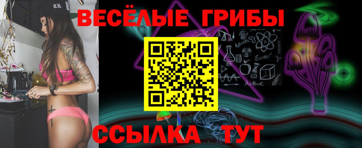 Тобольск  Псилоцибиновые грибы Psilocybine cubensis  Вход с VPN 